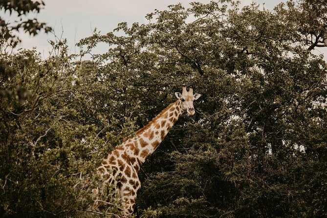10 Day Discover Namibia Small Group Safari - Day 5: Swakopmund gives you room to choose