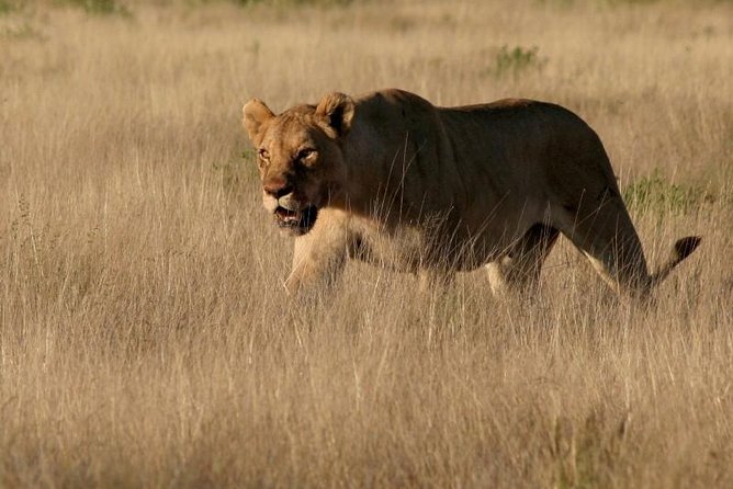 10-Day Namibia Highlights Guided Tour from Windhoek - Why this route works for a first Namibia trip