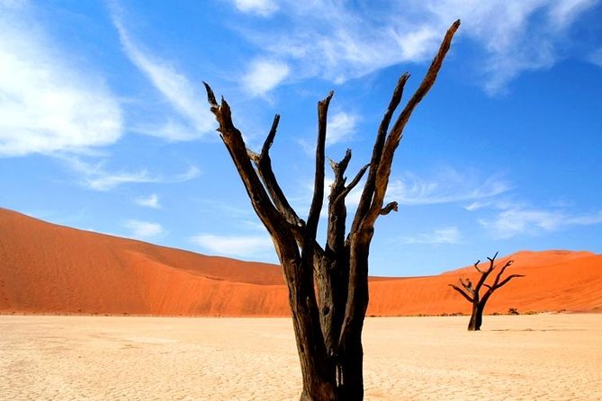10-Day Namibia Highlights Guided Tour from Windhoek - Day 6: Twyfelfontein and the Damara Living Museum