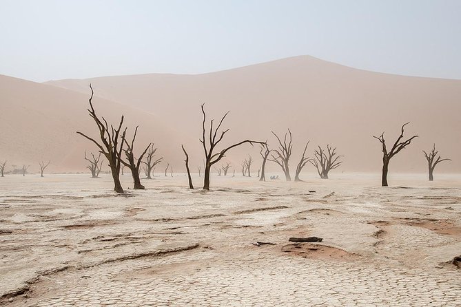10 DAYS BEAUTY OF NAMIBIA | Guided Lodge - Etosha National Park and the Okaukuejo waterhole