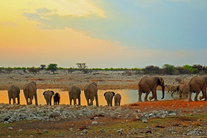 10 DAYS BEAUTY OF NAMIBIA | Guided Lodge - Walvis Bay by boat, then up Dune 7