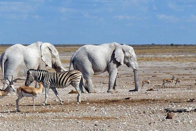 10 DAYS BEAUTY OF NAMIBIA | Guided Lodge - Crossing the Kuiseb Pass and Tropic of Capricorn