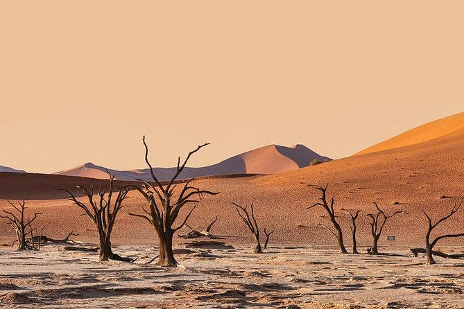 10 DAYS BEAUTY OF NAMIBIA | Guided Lodge - Meeting Himba and Damara communities
