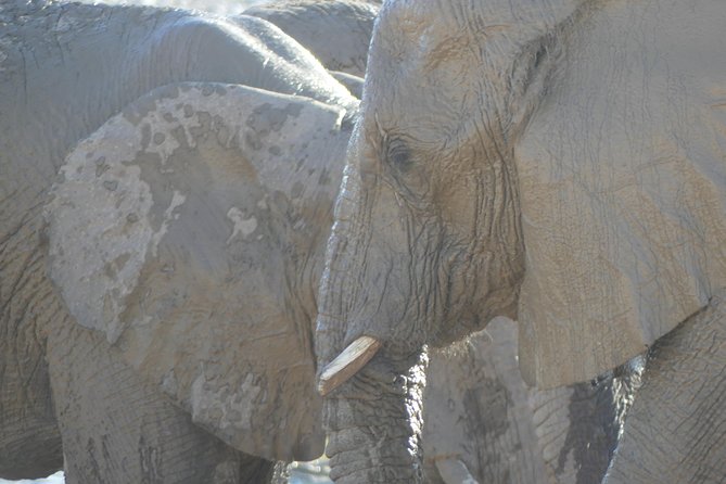 10 Namibia Adventures - Two days in Namib-Naukluft National Park
