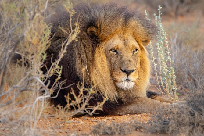 10 Namibia Adventures - Swakopmund and Walvis Bay