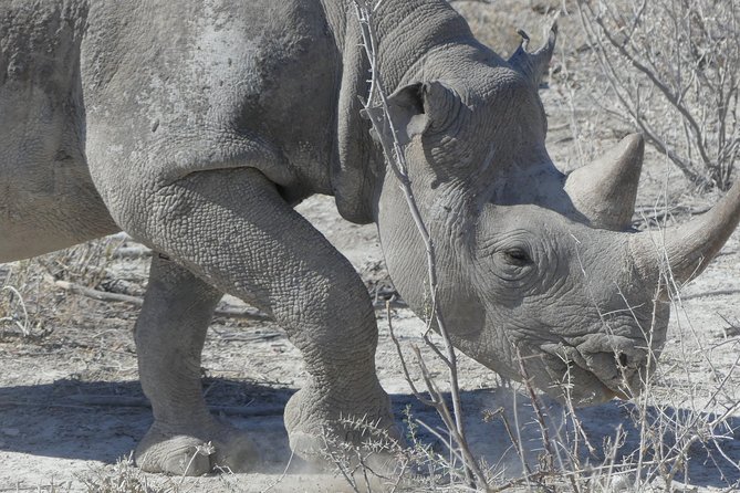 10 Namibia Adventures - Shipwrecks and Brandberg Mountain