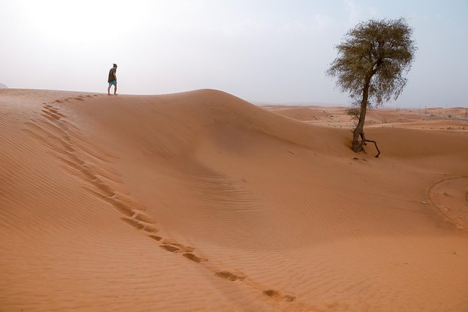 10 Namibia Adventures - Etosha National Park and its waterholes