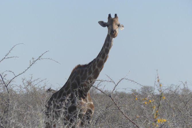 10 Namibia Adventures - Solitaire and the first desert sunset