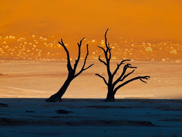 11 Days Small Group Namibia Experience Fully Accommodated Tour - From Windhoek to the red Kalahari