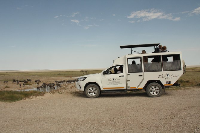 11 Days Small Group Namibia Experience Fully Accommodated Tour - Twyfelfontein rock art and desert rhino near Palmwag