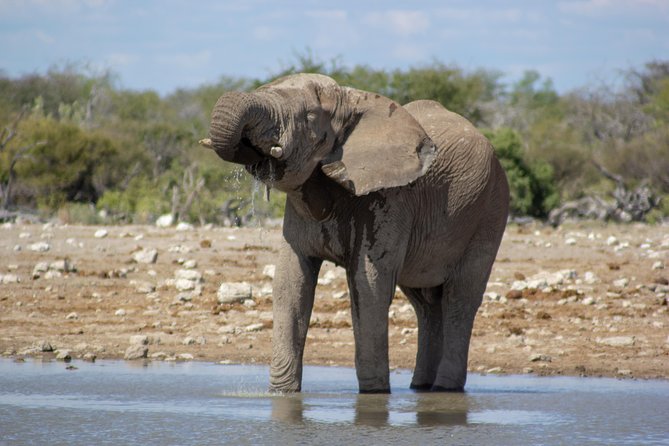 11 Days Small Group Namibia Experience Fully Accommodated Tour - Crossing the desert to the cold Atlantic