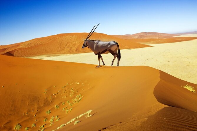12 Day Classic Namibia Camping Safari - Why this 12-day route works