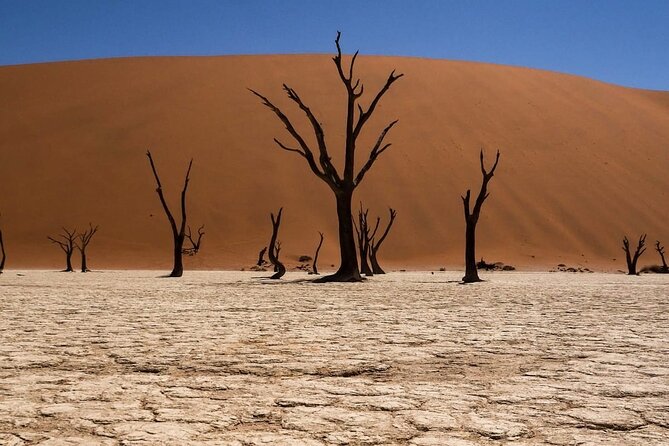 2 Day Scenic Sossusvlei Adventure Tour in Namibia - Moon Landscape and the first desert stops