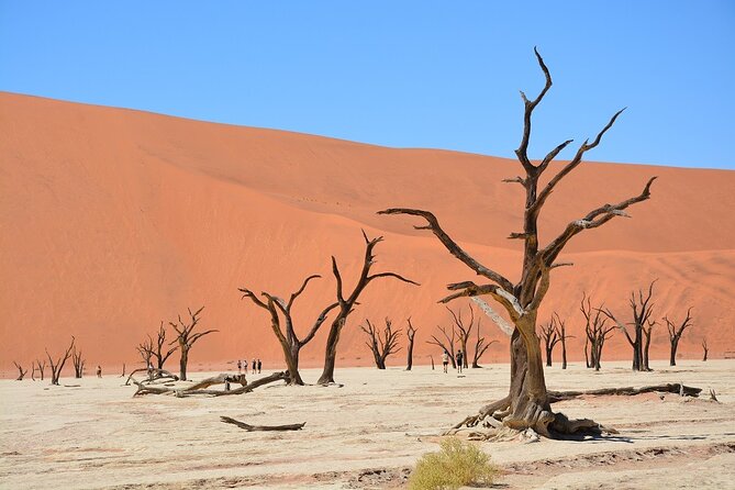 2 Days Guided Tour in Sossusvlei and Sandwich Harbor - Dune 45 gives you an easy first taste