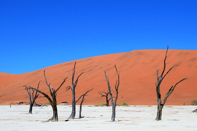 2 Days Sossusvlei Private Camping Tour - From Windhoek to Solitaire: the first road stop