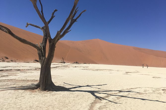 3 Day Camping safari at Sossusvlei - The private vehicle and guide service