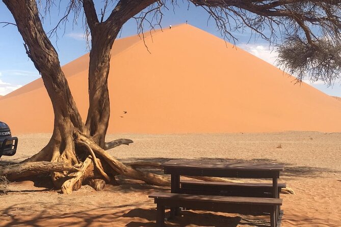 3 Day Camping safari at Sossusvlei - Who will get the most from this safari