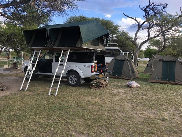 3 Day Camping tour at Etosha National Park - Day 2: A full game drive across Etosha to Namutoni