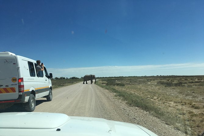 3 Day Camping tour at Etosha National Park - Who should book this three-day safari?