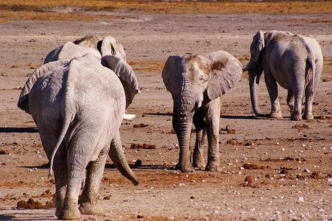 3 Day Etosha Budget Camping Safari - Day one: the long road from Swakopmund to Etosha