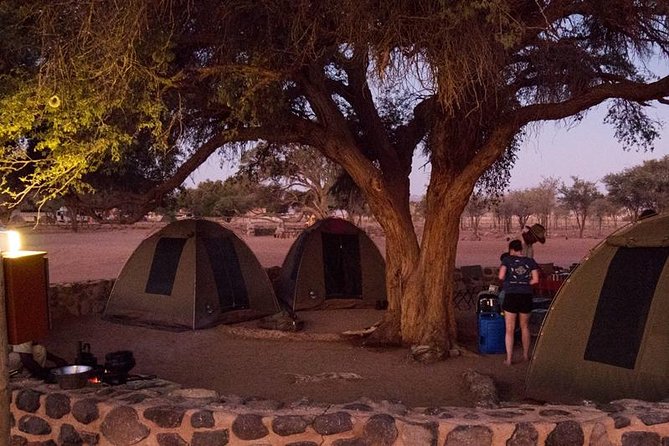 3 Day Sossusvlei Budget Camping Safari - Day two: Dune 45 before the heat