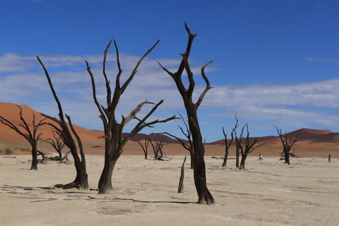 3 Day Sossusvlei Camping Schedule and Sandwich Habor - Why this route works in only three days