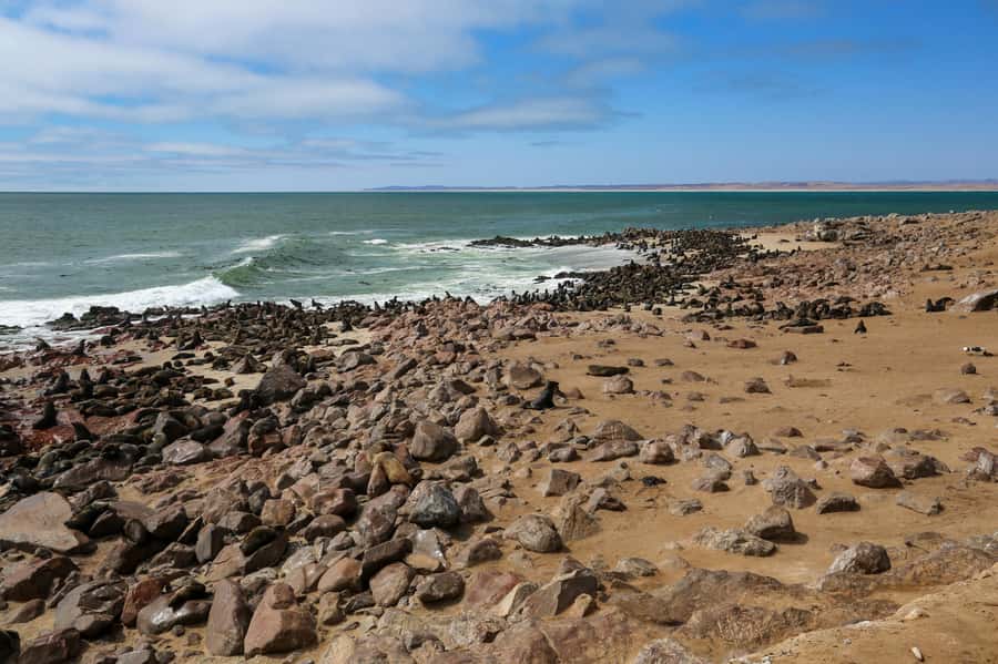 3 day Sossusvlei Camping - Day 1: Windhoek to the Solitaire area