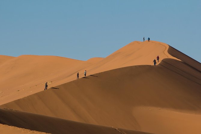 3-Day Sossusvlei Express Accommodated Safari from Swakopmund - Climbing Dune 45