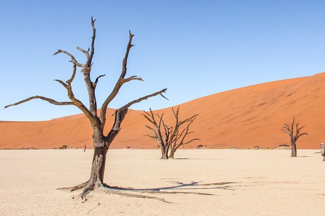 3 Days Amazing Red Dunes of Sossusvlei | Private Guided Tour - Day two: Dune 45 at first light