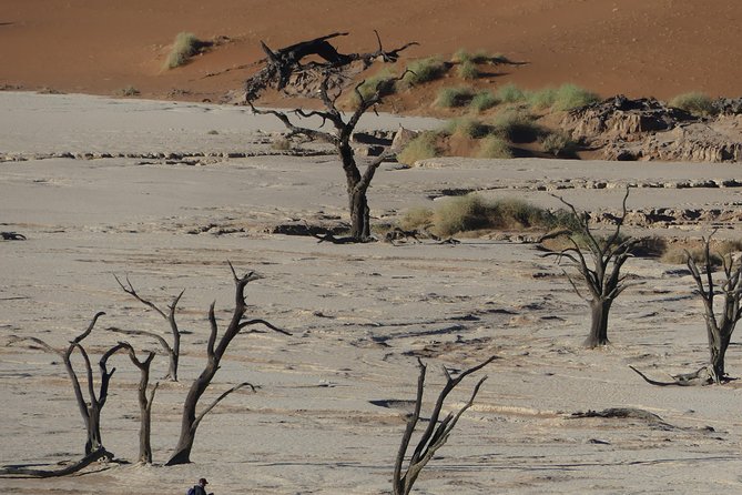 3 Days Amazing Red Dunes of Sossusvlei | Private Guided Tour - Sossusvlei and the wider Namib Desert