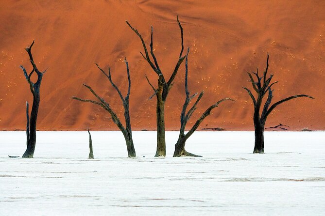 3 Days Amazing Red Dunes of Sossusvlei | Private Guided Tour - Sesriem Canyon adds texture and shade