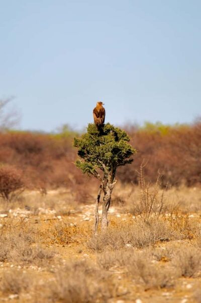 4 day Sossusvlei and Swakopmund Lodging