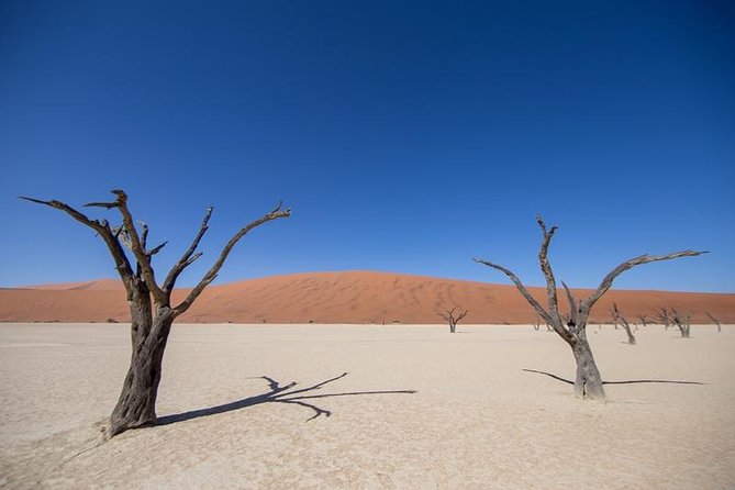 4-Day Swakopmund And Sossusvlei Accommodated Adventure from Windhoek - What the $1,298.66 price covers, and what it does not