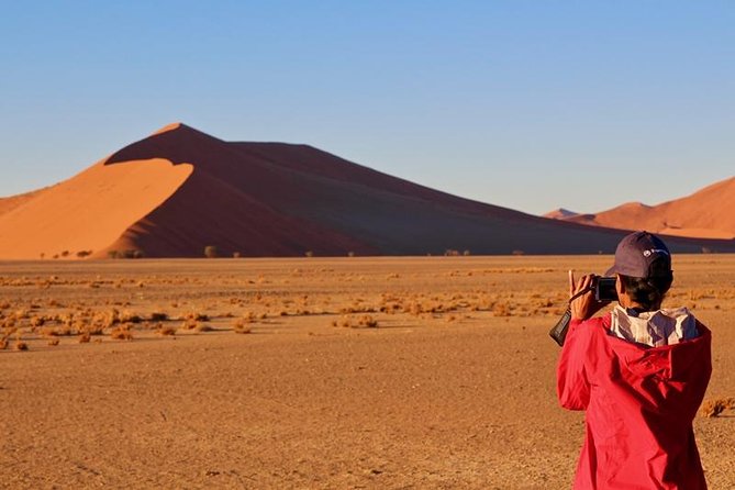 6-Day Dunes and Wildlife Accommodated Safari from Windhoek - What the price includes, and what it does not
