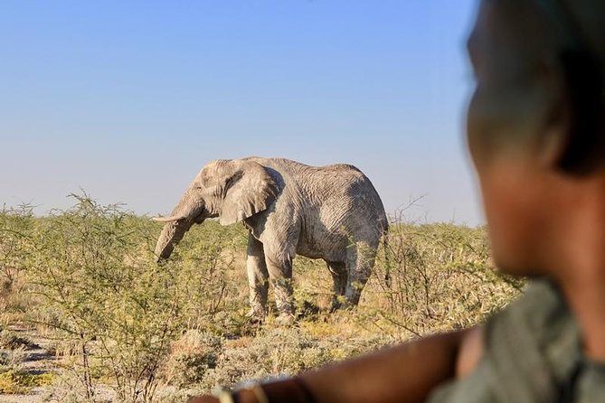 6-Day Dunes and Wildlife Accommodated Safari from Windhoek - Who will enjoy this tour most