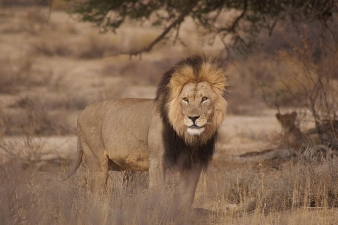 6 Day Private Guided Accommodated Namibian Loop - A private route through Namibia’s big highlights