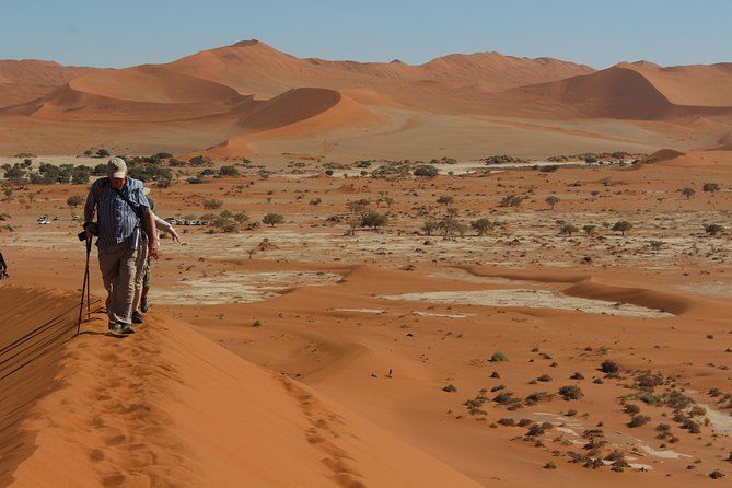 6 Day Private Guided Accommodated Namibian Loop - Day 4: Walvis Bay, optional activities, and the road to Sesriem