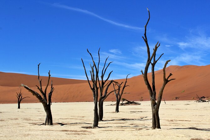 6 Day Private Guided Accommodated Namibian Loop - What the price includes, and what it does not