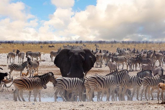 6 DAYS ETOSHA,SWAKOPMUND & SOSSUSVLEI- NAMIBIA (Lodging) - Swakopmund brings sand, speed, and a coastal pause
