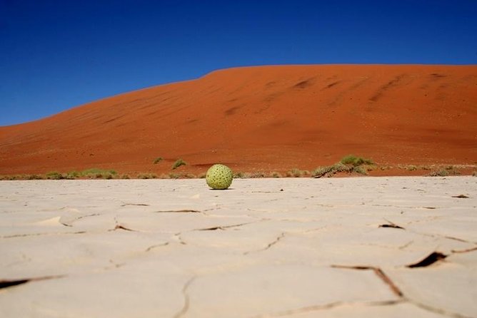 7 Day - Kalahari TOP attractions - The Spreetshoete Pass and desert photo stops