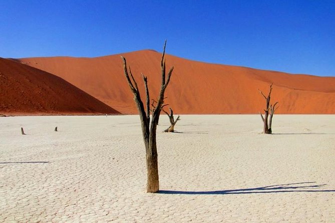7 Day - Kalahari TOP attractions - Luderitz, Diaz Cross, and the Atlantic edge