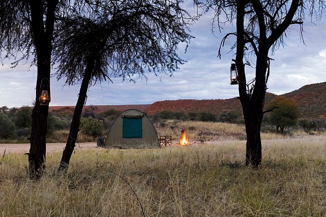 7 Day Northern Namibia and Skeleton Coast Camping Safari - Day 2: entering Etosha through waterholes