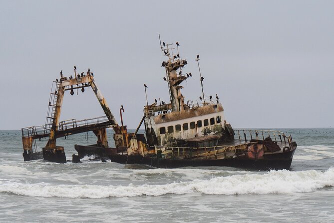 7 Day Northern Namibia and Skeleton Coast Camping Safari - Day 7: flamingos at Walvis Bay and the road to Windhoek