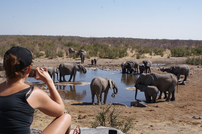 7 Day Northern Namibia and Skeleton Coast Camping Safari - Day 1: woodcarvers, Mount Etjo, and rhino country