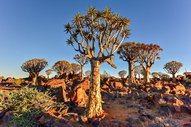 7 Day Southern Namibia and Sossusvlei Camping Safari - Day four: south to Klein Aus