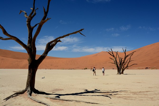 7 Day Southern Namibia and Sossusvlei Camping Safari - Day seven: sunrise, then the long road to Windhoek