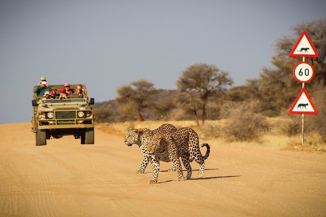 9 Day Etosha, Skeleton Coast and Sossusvlei Camping and Lodge Safari - Why this route works so well in nine days