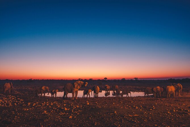 9 Day Etosha, Skeleton Coast and Sossusvlei Camping and Lodge Safari - Day 1: Woodcarving at Okahandja and rhinos at Mount Etjo