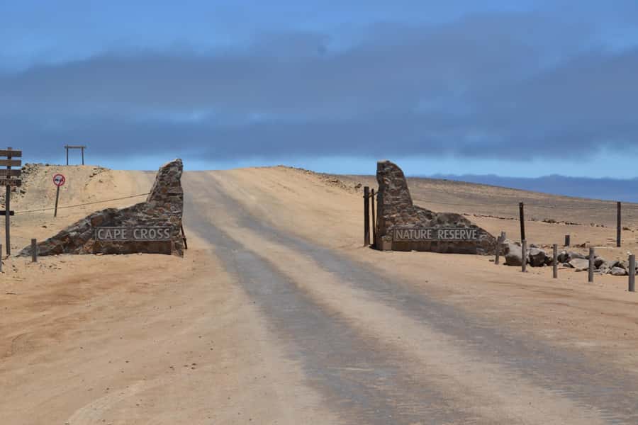 Cape Cross and Henties Bay Guided Tour SkeletonCoast Namibia - Salt pans, flamingos, and the working coast