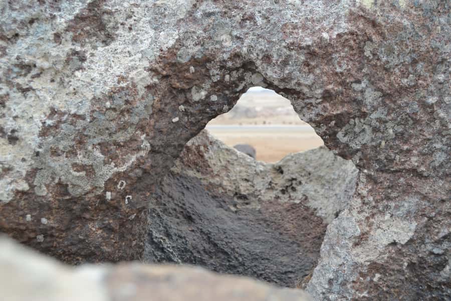 Cape Cross and Henties Bay Guided Tour SkeletonCoast Namibia - Is $202 a fair price?